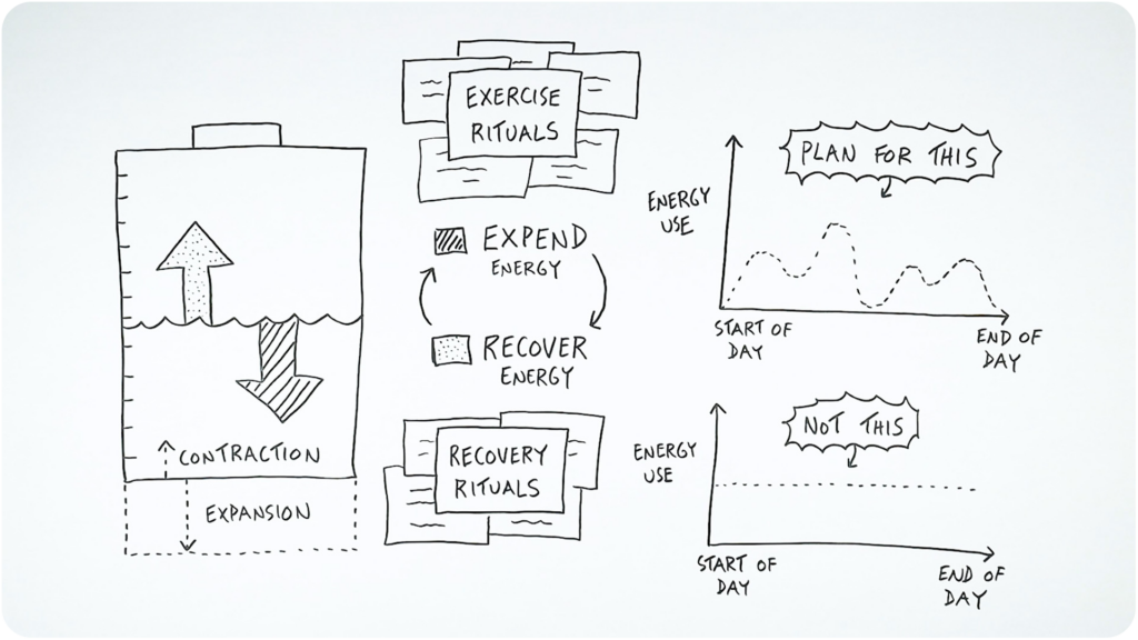 The key to managing your energy is cycling between energy expenditure and energy recovery - our body and mind are built for oscillating energy use, not linear use.